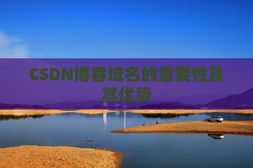 CSDN博客域名的重要性及其优势